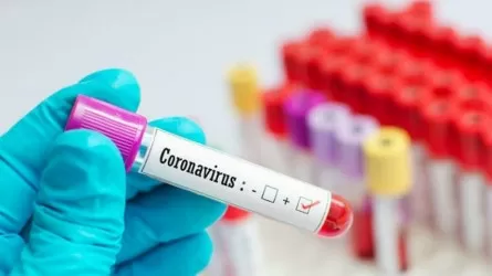 Бір тәулікте 51 адамнан коронавирус анықталды