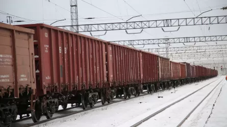 В Казахстане не хватает вагонов для транспортировки кормов