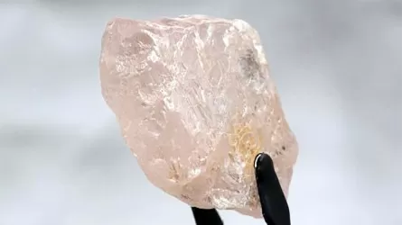 Редкий розовый алмаз будет выставлен на продажу ангольской Sodiam 