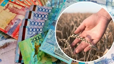 Чиновники Кызылординской области похитили 25 млн тенге субсидий для сельского хозяйства