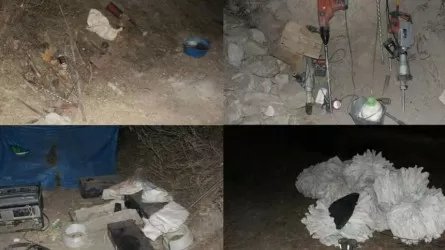 Жетісу облысында заңсыз алтын өндірушілер ұсталды