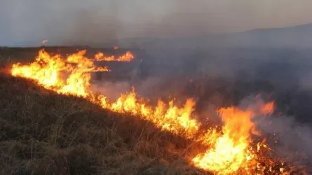 Қоянды ауылының маңындағы өрттен бір адам қайтыс болды