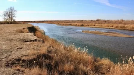 Ақтөбеде зорлықпен өлтірілген екі адамның мәйіті табылды