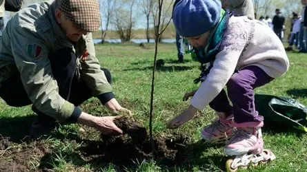 Алматыда «Жасыл аула» науқаны басталады