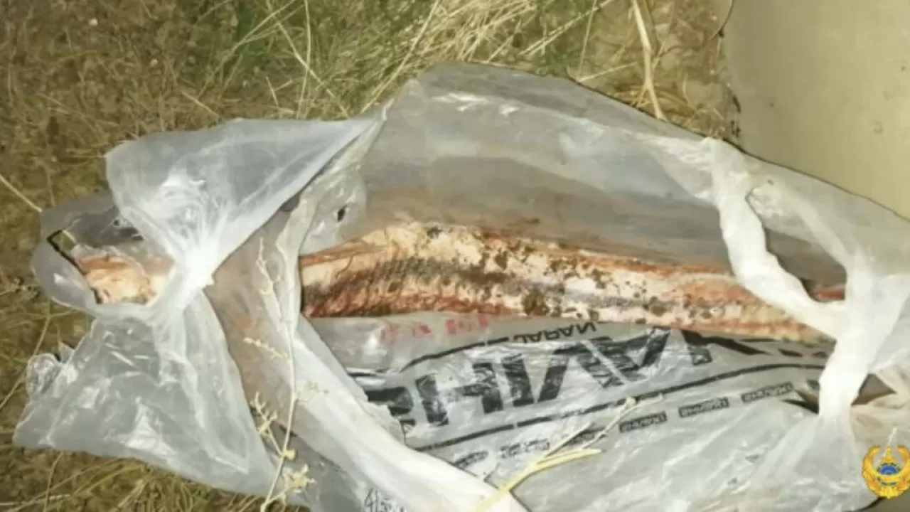Наркодельцов-браконьеров с оружием задержали в Атырау