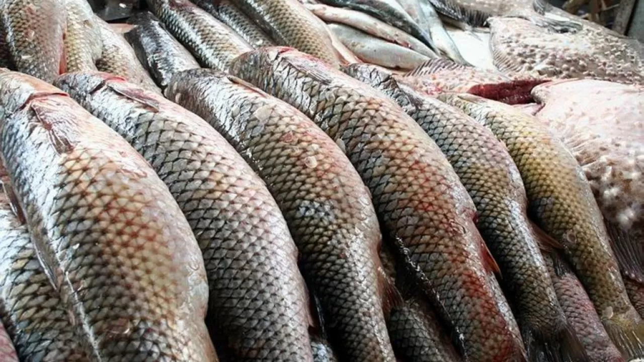 Қазақстанда балық пен теңіз өнімдерінің бағасы 24%-ға өсті