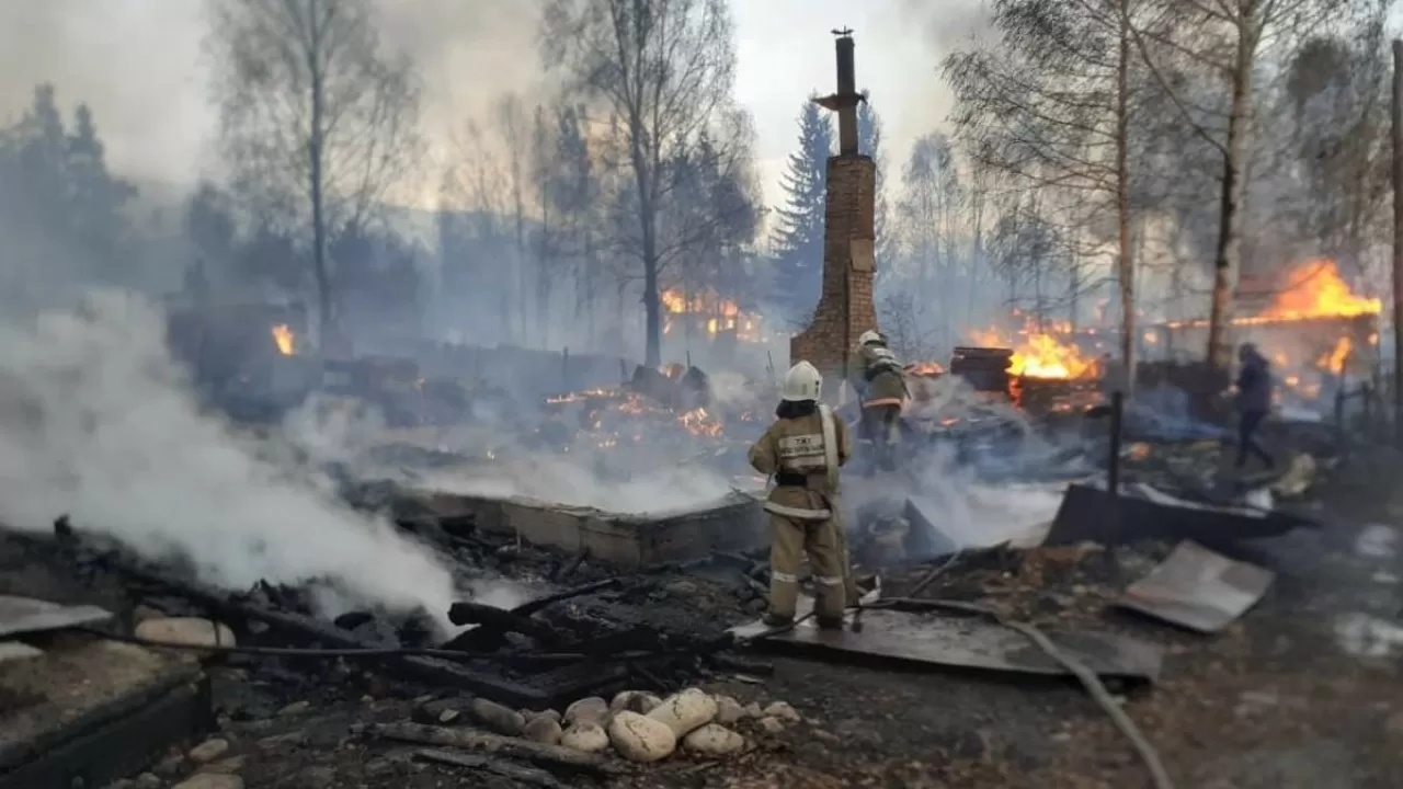 После лесных пожаров в ВКО ведется незаконная добыча древесины