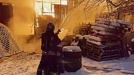 Шесть человек погибли при пожаре на складе цветов в Москве