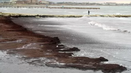 Жителей Актау напугало изменение цвета воды в Каспии