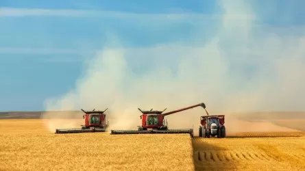 Казахстан собрал рекордный урожай зерна