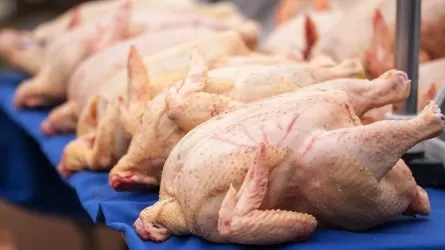 С 2023 года в ЕАЭС задействуют новые правила по безопасности мяса птицы