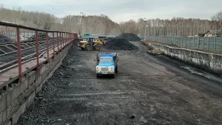 Осеннего ажиотажа с углем удалось избежать