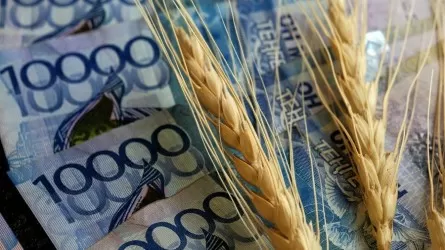 Цены на хлеб в Казахстане взлетят из-за выхода России из зерновой сделки?