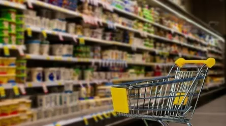 Елімізде ең төменгі күнкөріс деңгейі бір жылда 17%-ға артты