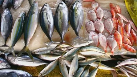 Необходимо повышать потребление рыбы казахстанцами – минэкологии