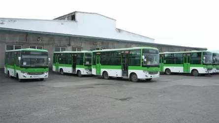 Семейде автобус жүргізушілері бекітілген нормадан артық жұмыс істеуде