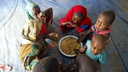 Правда ли, что миллиард людей станут жертвами голода за два года?