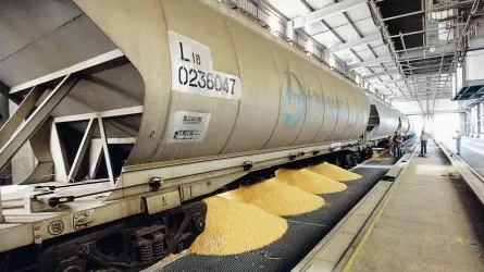 Казахстанские мукомолы против снижения тарифов на перевозку зерна для россиян