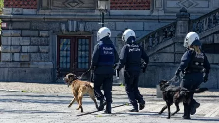 Брюссельде белгісіз біреу полиция қызметкерлеріне пышақпен жүгірген