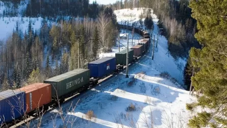Кто больше платит, тот больше едет – эксперт об экспортной политике в сфере ж/д перевозок 
