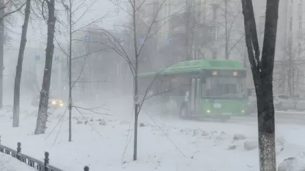 В пригороде Астаны автобусы максимально снизили скорость движения  
