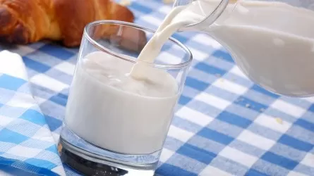 Треть проб молочной продукции в Атырау не соответствовала установленным требованиям