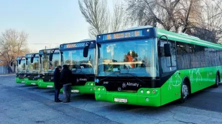 Досаев: Алматыға 300 жаңа автобус сатып алынады