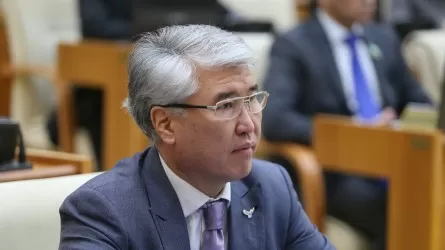 Экс-министр культуры РК останется под арестом как минимум еще месяц