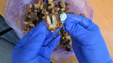 В карагандинскую колонию пытались пронести финики с наркотиками