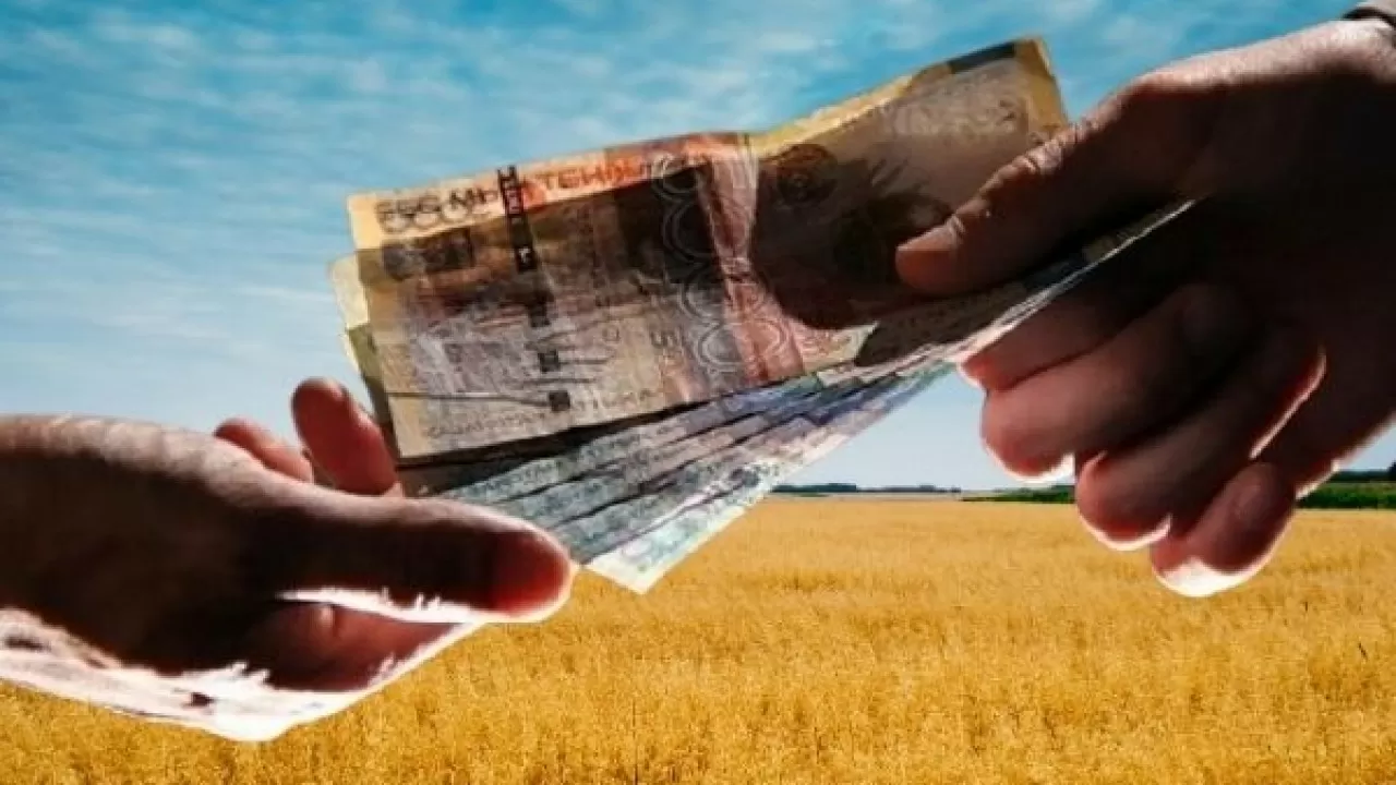 На год вперед теперь будут финансировать казахстанских фермеров