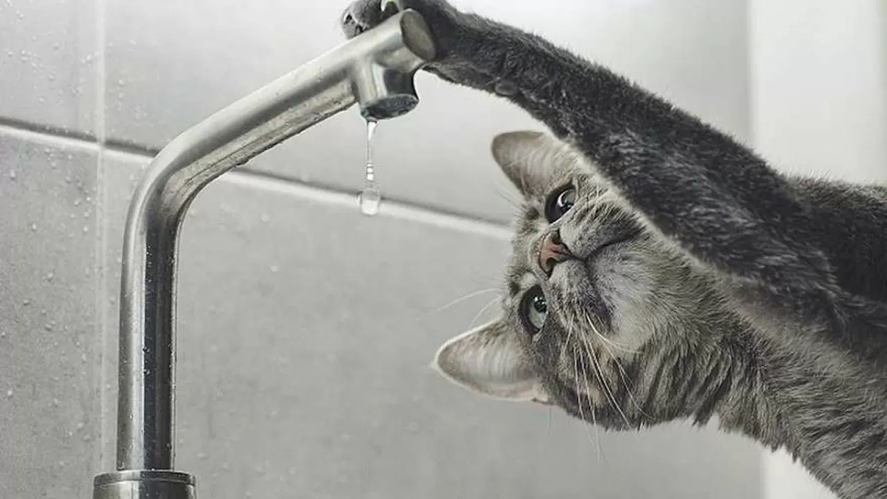 Без воды остались жители одного района в Семее