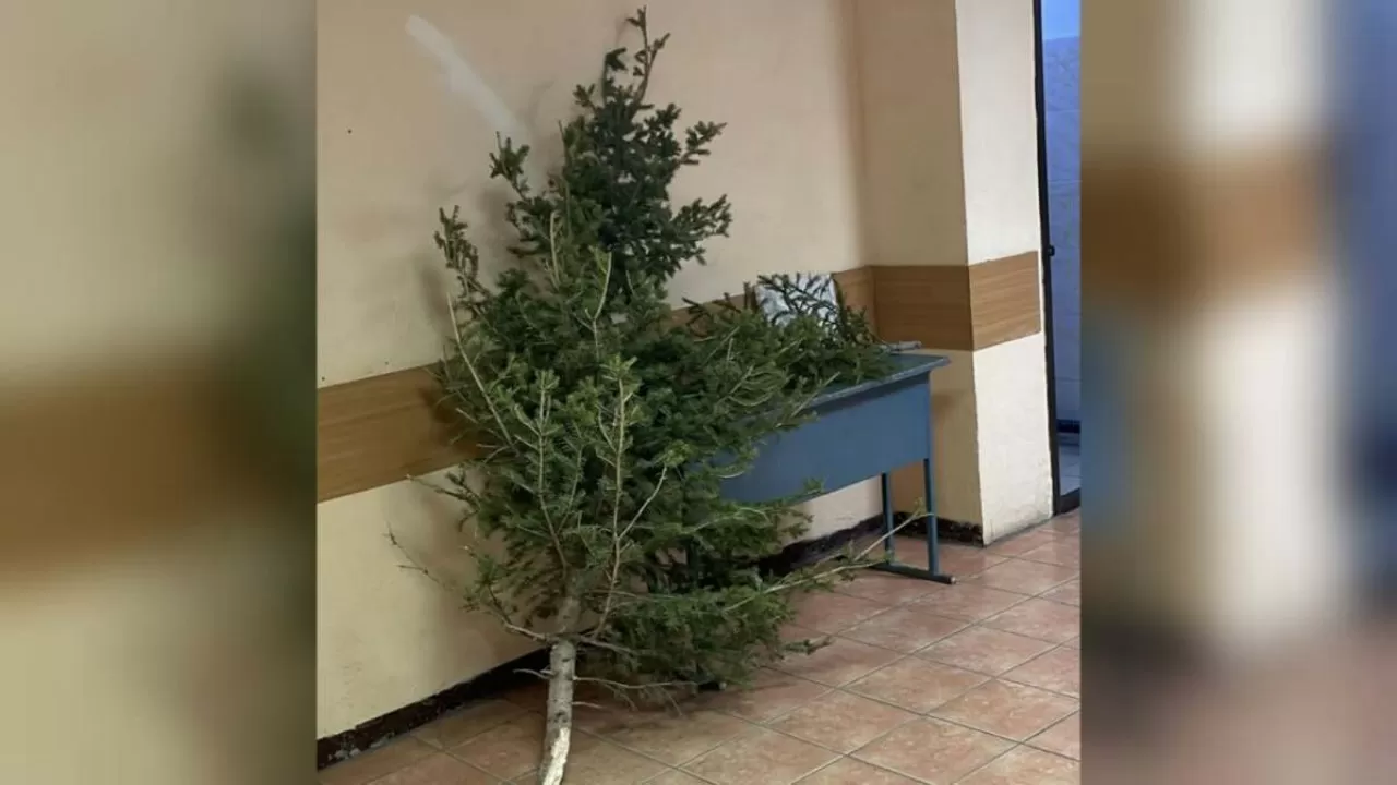 В Караганде задержали мужчину, срубившего елки у Вечного огня
