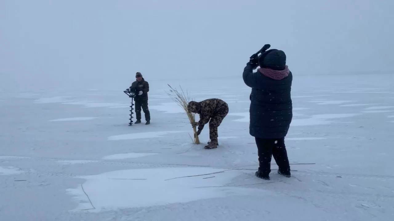 Қарағанды облысының су айдындарында балықтардың қырылуына қарсы іс-шаралар жүргізілуде