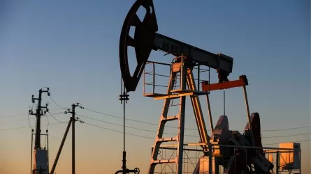 ОПЕК сохранила оценку спроса на нефть в 2022 году 