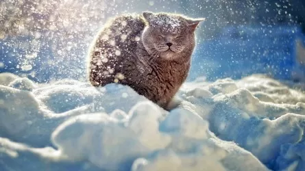 Снег и метели обещают синоптики в Казахстане