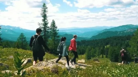Туристік алымға кәсіпкерлер қарсы