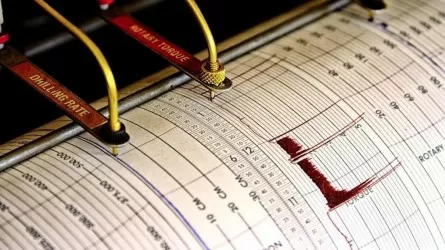 Землетрясение магнитудой 6,0 зарегистрировали сейсмологи Казахстана