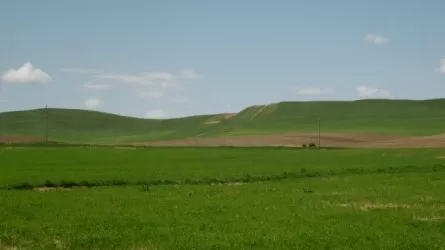 Биыл 5,2 млн гектар жер мемлекетке қайтарылды