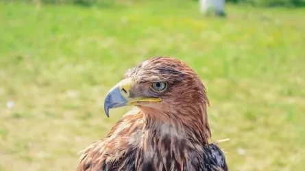 Егемендік пен тәуелсіздіктің айырмашылығы қандай?