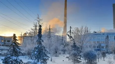 Бизнесмены Экибастуза просят помощи в отсрочке выплат