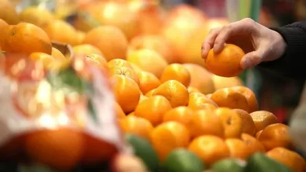 Почему свежие марокканские мандарины можно найти в каждом казахстанском магазине у дома
