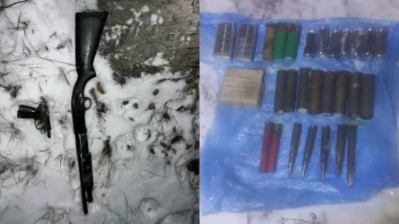 Ружья, пистолеты, патроны и АК-47 обнаружили и изъяли в Жамбылской области