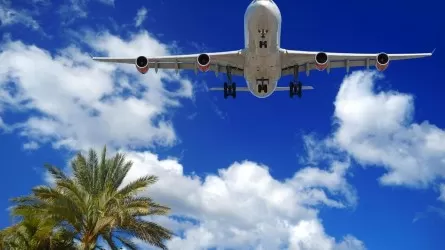 Почти на 99 млн сумов продала билеты на несуществующие рейсы авиакасса в Самарканде