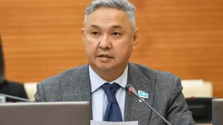 Азат Перуашев «жұмыс істеп жүрген бомждар» деп кімдерді меңзеді?