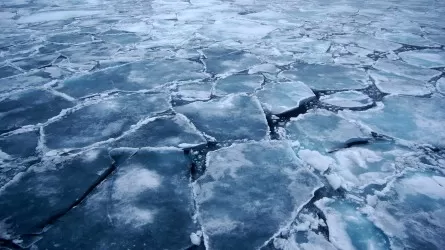 В СКО погибли 50 провалившихся под лед лошадей