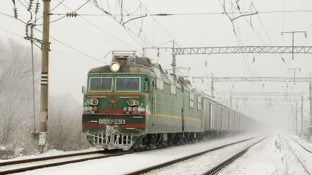 Табун лошадей сбил поезд в ВКО