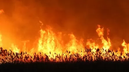 Седьмые сутки полыхает пожар на побережье Каспия 