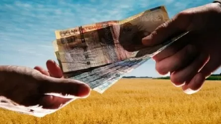 На год вперед теперь будут финансировать казахстанских фермеров