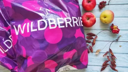 Налоговые каникулы на 30 лет потребовали от Казахстана в компании Wildberries