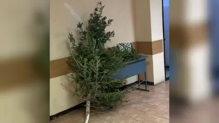 В Караганде задержали мужчину, срубившего елки у Вечного огня